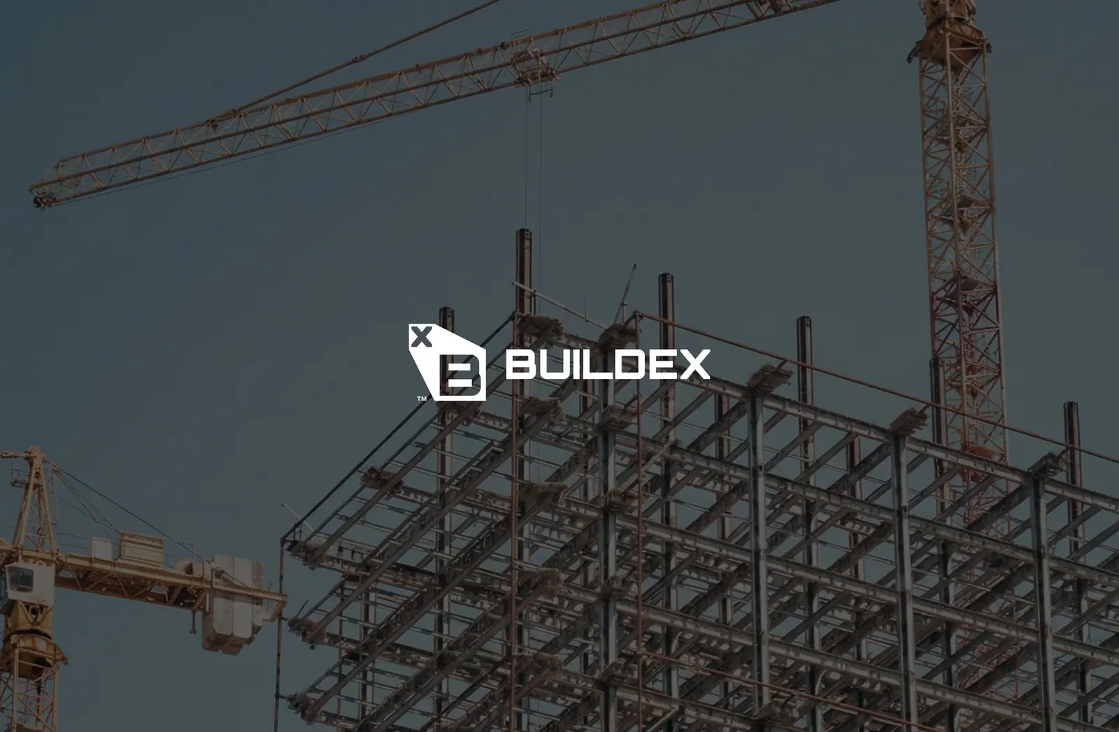 Buildex — identity for a construction company, picture 1 of 10