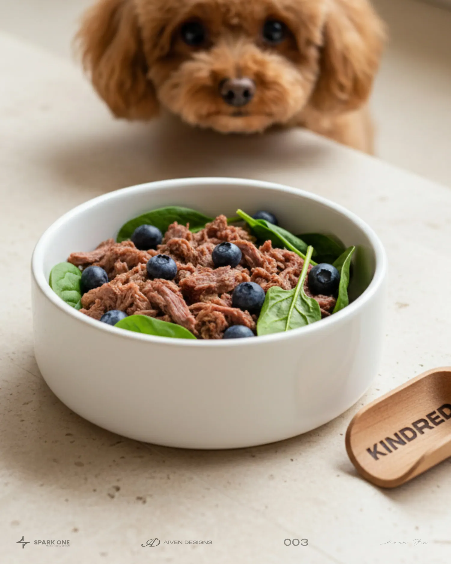 Kindred — identity for a pet food brand, picture 7 of 10