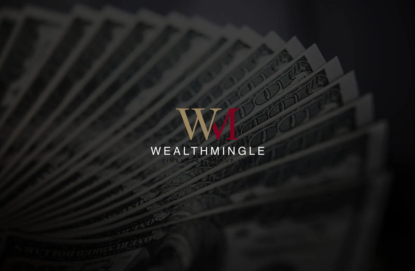 Wealthmingle — identity for a financial group, picture 1 of 10