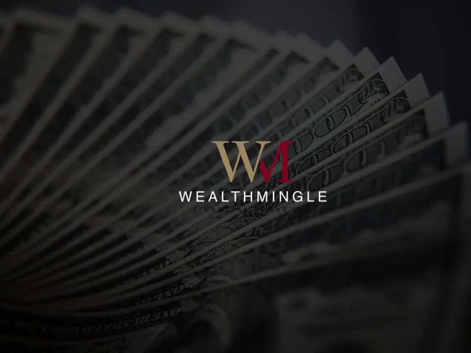 Wealthmingle — identity for a financial group, picture 1 of 10